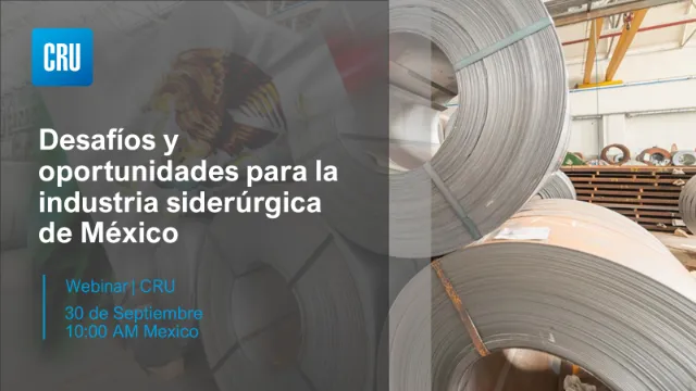 Desafíos y oportunidades para la industria siderúrgica de México Image